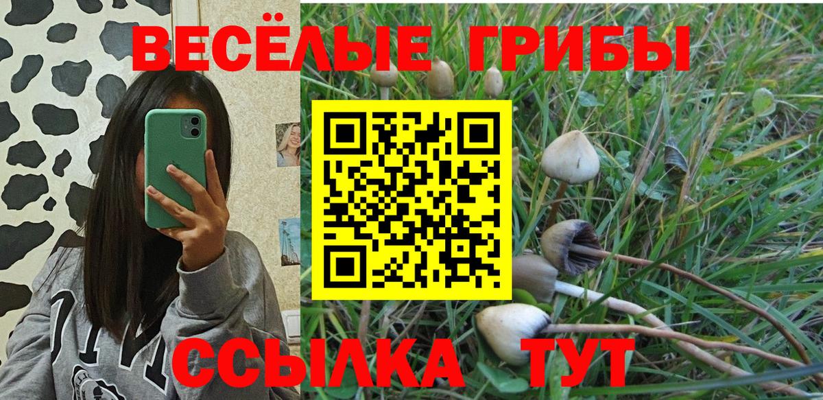 Псилоцибиновые грибы Psilocybe  Вход с VPN  Урай 