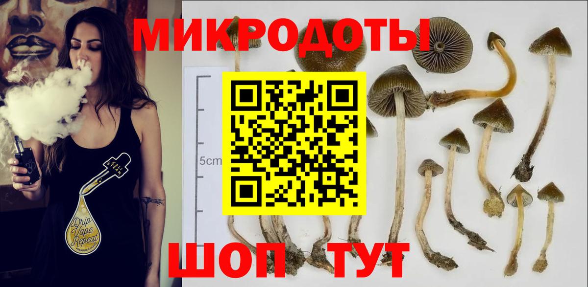 Галлюциногенные грибы Psilocybine cubensis Урай